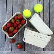 Biodegradable Wrapping Paper