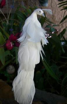 Bird Wrapping Paper