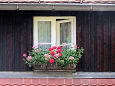 Boxes Windows