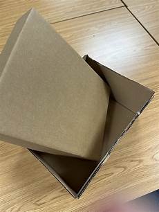 Cardboard Shoe Box