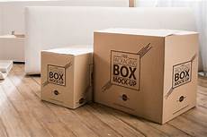 Carton Packing