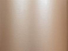 Champagne Wrapping Paper