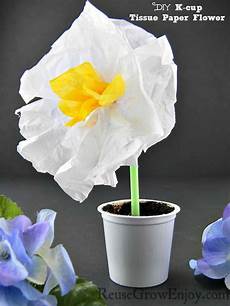 Compostable Tissue Paper
