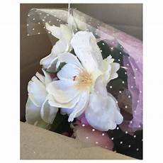 Decorative Cellophane Wrap