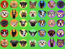 Dog Wrapping Paper