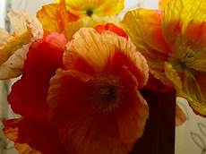 Florist Brown Paper