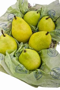 Fruit Wrapping Paper