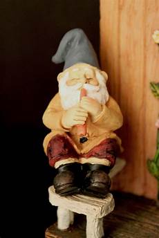 Gnome Wrapping Paper