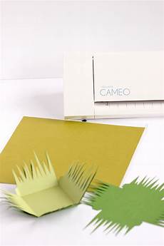 Grass Paper Packaging