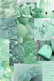 Lavender Wrapping Paper