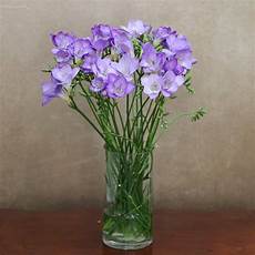 Lilac Tissue Paper