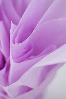 Lilac Wrapping Paper