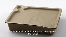 Molded Paper Packaging