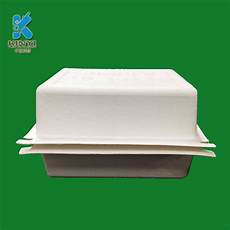 Molded Paper Packaging