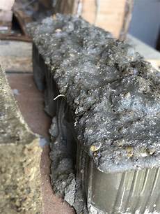 Mould Cardboard