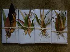 Natural Wrapping Paper