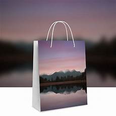 Paper Bags Ltd