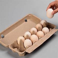 Paper Pulp Tray