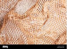 Perforated Packing Paper