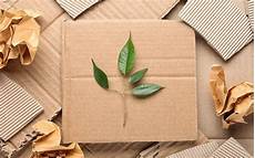 Sustainable Paper Packaging