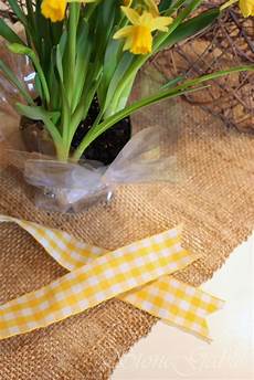 Thick Cellophane Sheets