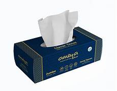 Tissue Box Packaging