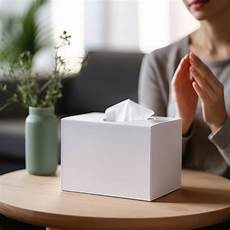 Tissue Box Packaging